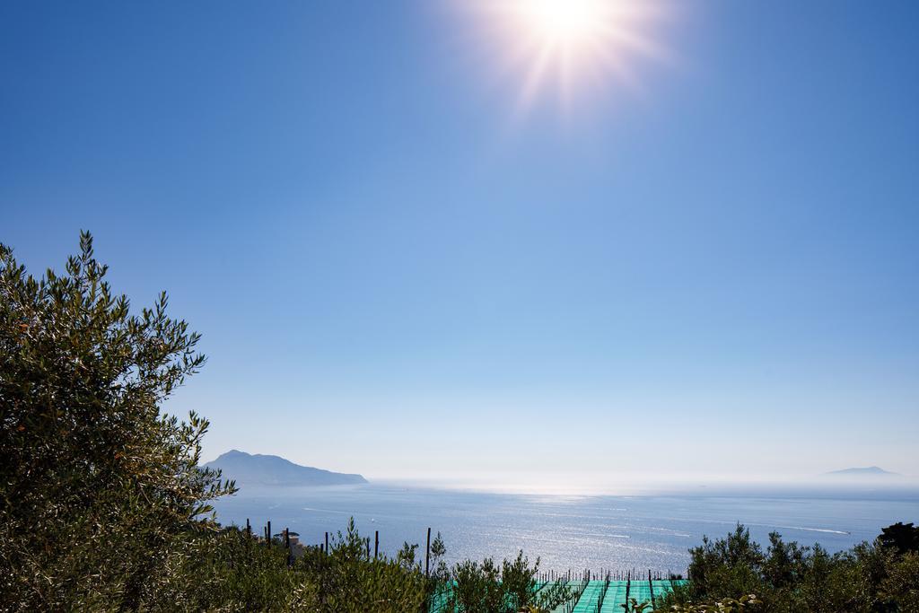 Ferienwohnung Il Nido Del Gabbiano Massa Lubrense Exterior foto