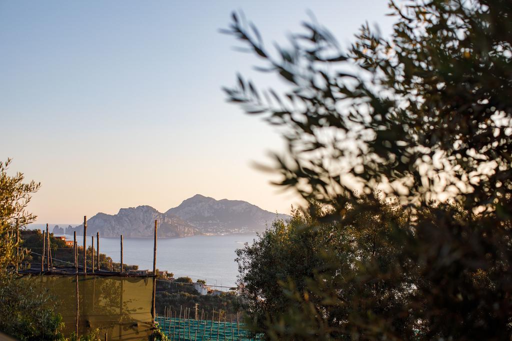 Ferienwohnung Il Nido Del Gabbiano Massa Lubrense Exterior foto